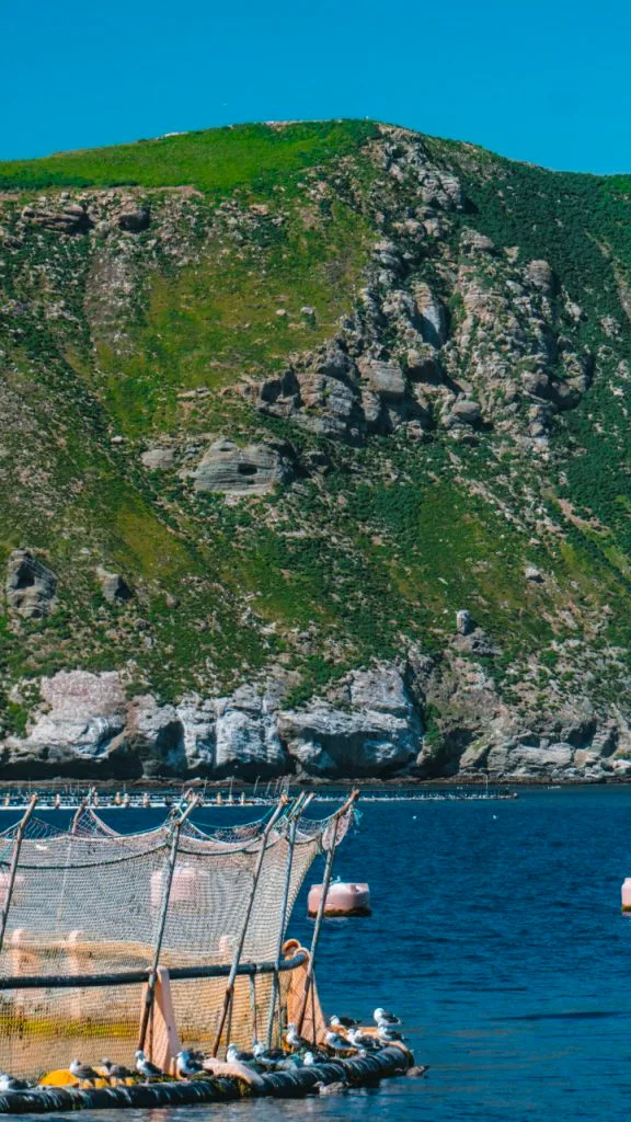 baja-image